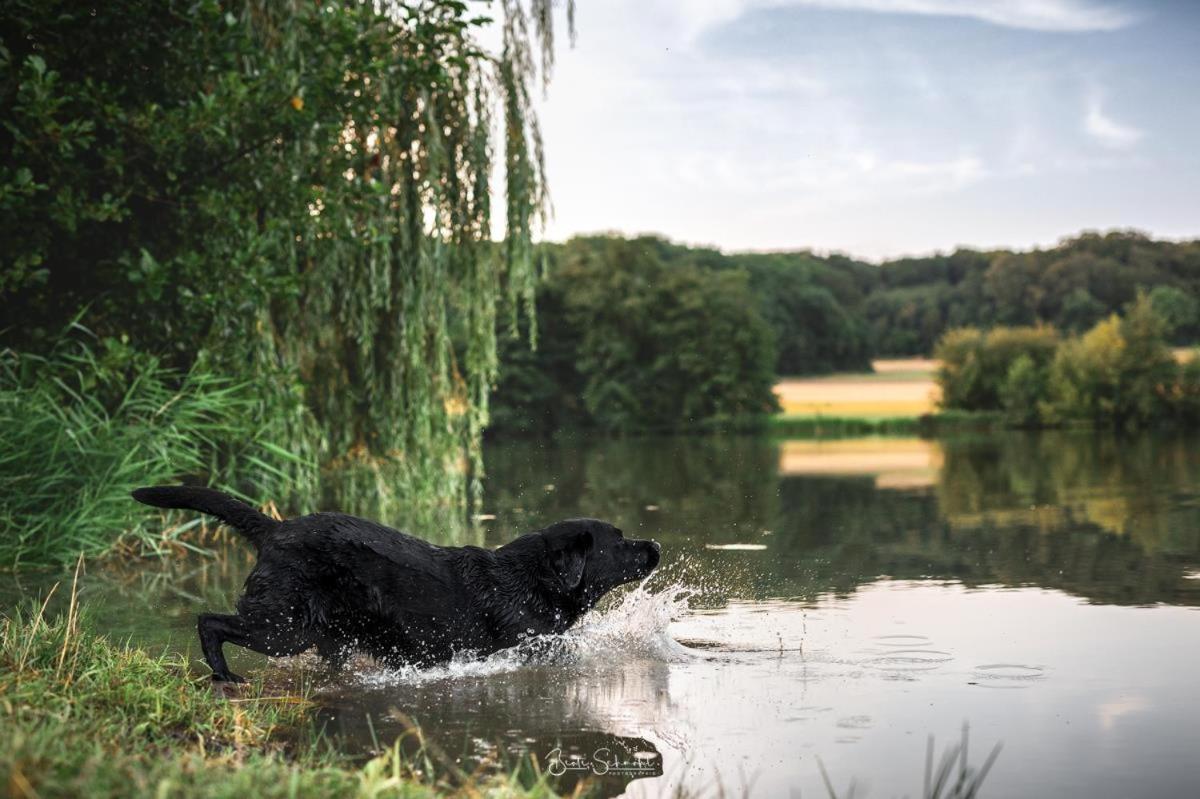 Ferienhaus Rote Sau Herrentierbach Exteriér fotografie